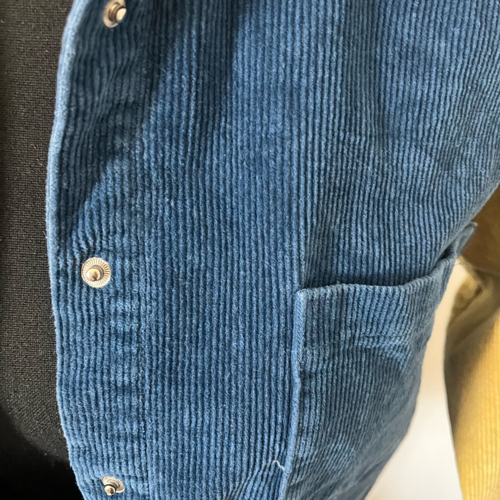 Nasty Gal Blue, yellow, and Green, red Corduroy Shirt - Picture 5 of 12
